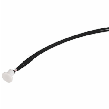 automobile electronics